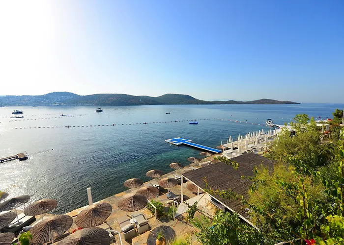 Doria Bodrum-city Center Hotel Bitez